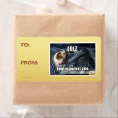 LOLZ jetzt in Pocket Size (Insitu)