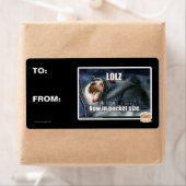 LOLZ jetzt in Pocket Size (Insitu)