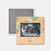 LOLZ jetzt in Pocket Size Magnet (Vorderseite/Rückseite)