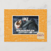 LOLZ jetzt in Pocket Size Postkarte (Vorderseite)
