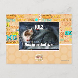 LOLZ jetzt in Pocket Size Postkarte