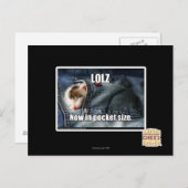 LOLZ jetzt in Pocket Size Postkarte (Vorne/Hinten)