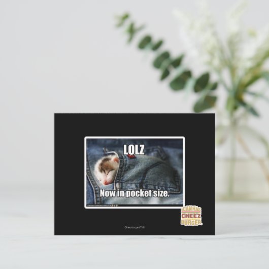 LOLZ jetzt in Pocket Size Postkarte (Stehend Vorderseite)