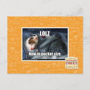 LOLZ jetzt in Pocket Size Postkarte