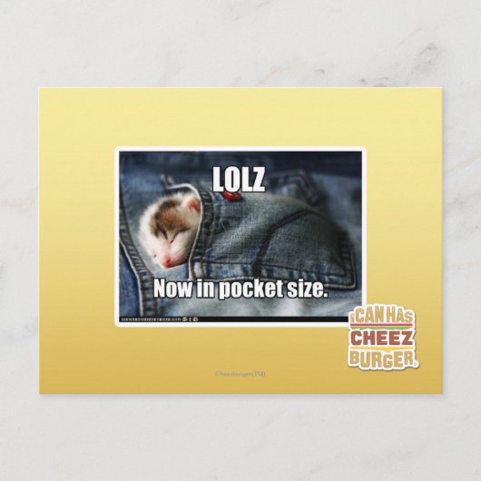 LOLZ jetzt in Pocket Size Postkarte (Vorderseite)