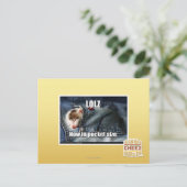 LOLZ jetzt in Pocket Size Postkarte (Stehend Vorderseite)