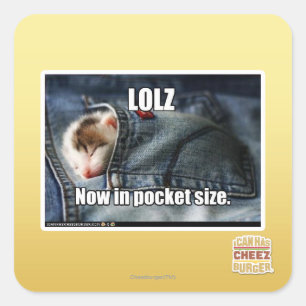 LOLZ jetzt in Pocket Size Quadratischer Aufkleber