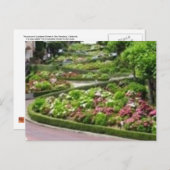 Lombardi-Straße in San Fransico Postkarte (Vorne/Hinten)