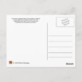 Lombardi-Straße in San Fransico Postkarte (Rückseite)