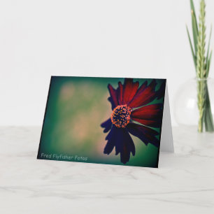 Lomo Daisy Card Karte