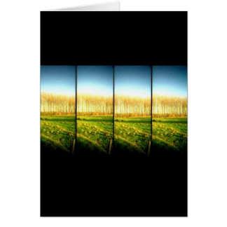 lomo Landschaft 2