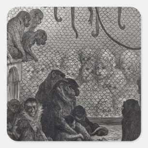 London Affen Quadratischer Aufkleber