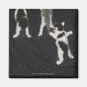 London, England, Großbritannien 2 Magnet