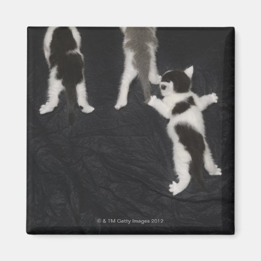 London, England, Vereinigtes Königreich 2 Magnet (Vorne)