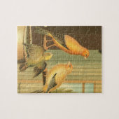 London Fancy Canaries Puzzle (Horizontal)
