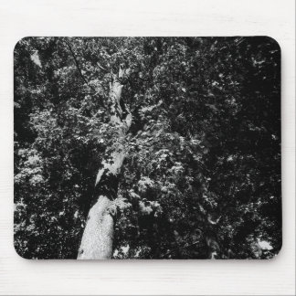 London Flugzeug Tree B&W Mousepad