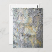 London Flugzeug Tree Bark Postcard Postkarte (Vorne/Hinten)