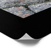 London Flugzeug Tree Leaf Poster (Ecke)