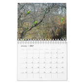 London Park Wildlife Tranquility Kalender (Jan 2027)