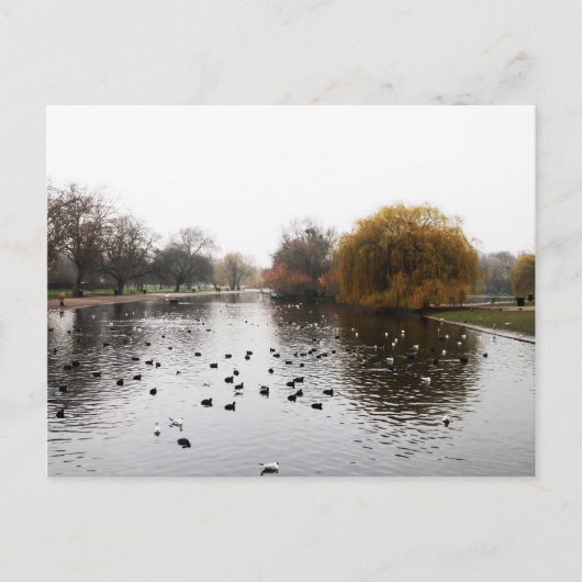 LONDON-Parks Postkarte (Vorderseite)