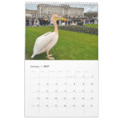 London-Pelikanen im St James's Park Kalender (Jan 2027)