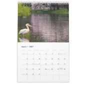 London-Pelikanen im St James's Park Kalender (Mär 2027)