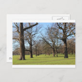 London Postkarte (Vorne/Hinten)