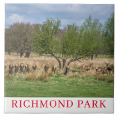 London Richmond Park Hirsche Keramik Fliesen (Vorderseite)