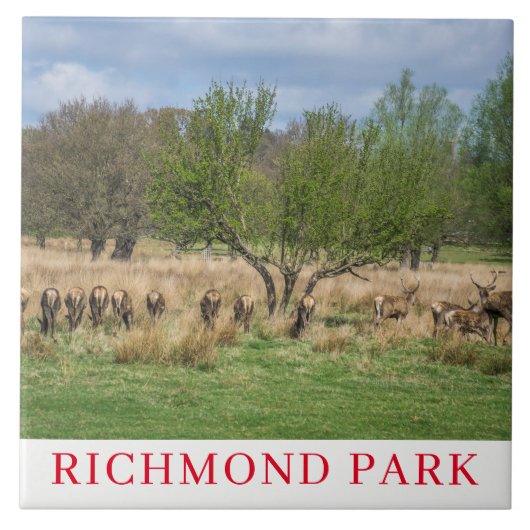 London Richmond Park Hirsche Keramik Fliesen (Vorderseite)