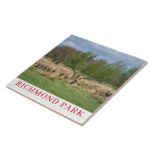 London Richmond Park Hirsche Keramik Fliesen (Seite)