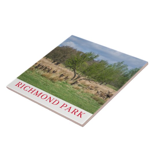 London Richmond Park Hirsche Keramik Fliesen (Seite)