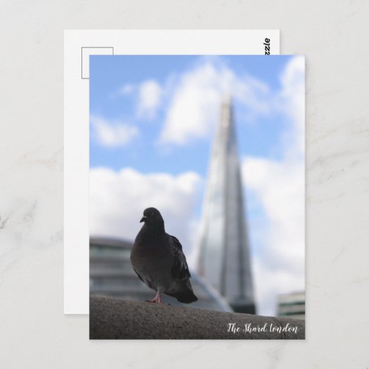 London-Taube mit Blick auf den Shard im Hintergrun Postkarte (Vorne/Hinten)