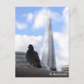 London-Taube mit Blick auf den Shard im Hintergrun Postkarte (Vorderseite)