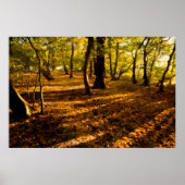 London Woods Poster (Vorne)