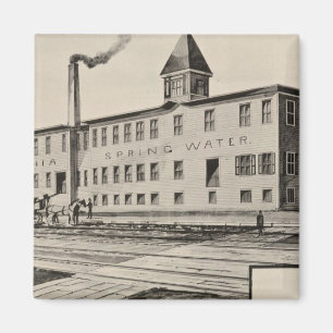 Londonderry Lithia Spring Water Co Magnet