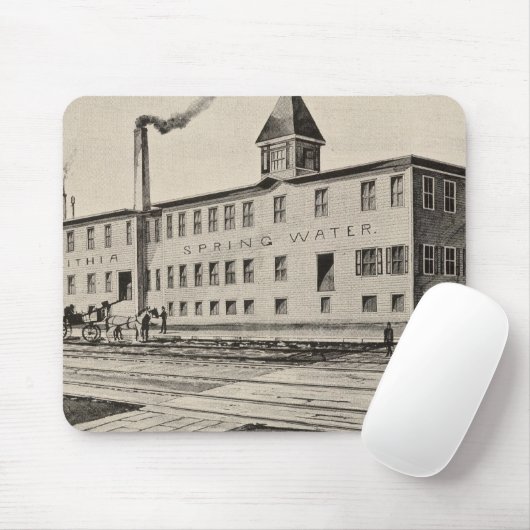 Londonderry Lithia Spring Water Co Mousepad (Mit Mouse)