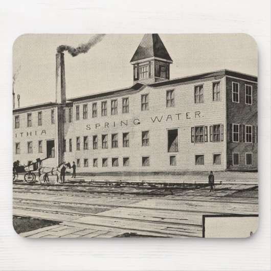 Londonderry Lithia Spring Water Co Mousepad (Vorne)