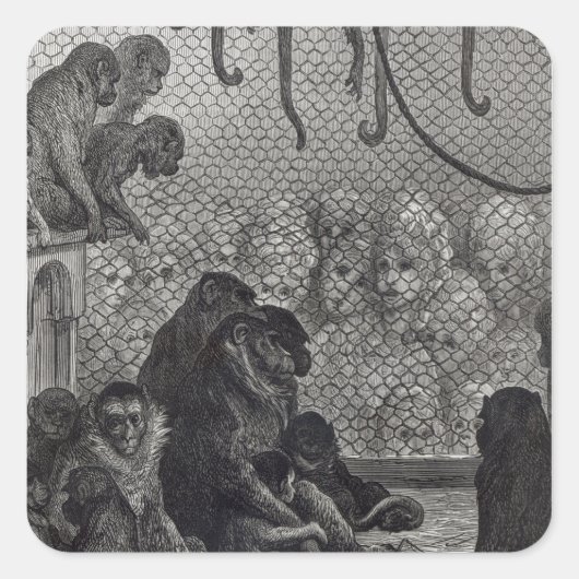 Londoner Affen Quadratischer Aufkleber (Vorderseite)