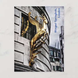 Londons Winged Springbok Postkarte