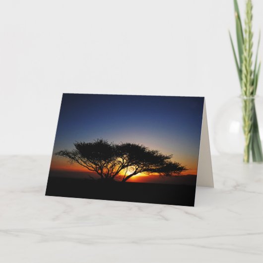 Lone Acacia bei fiery Red Sunrise, Blank Innen Karte (Vorderseite)