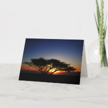 Lone Acacia bei fiery Red Sunrise, Blank Innen