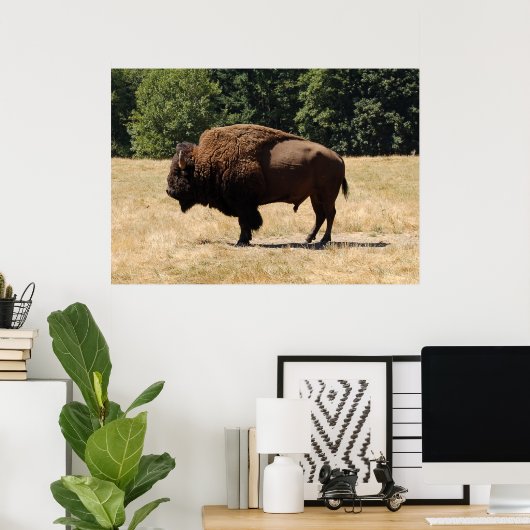 Lone Buffalo Poster (Heimbüro)