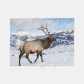 Lone Bull Elk | Yellowstone-Nationalpark Fleecedecke (Vorderseite (Horizontal))