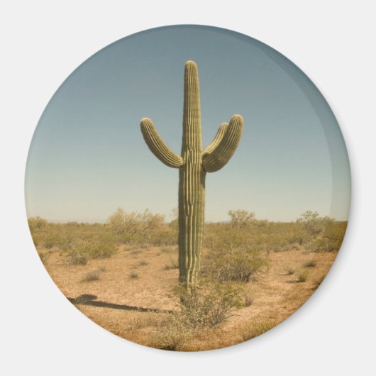 Lone Cactus Magnet (Vorne)