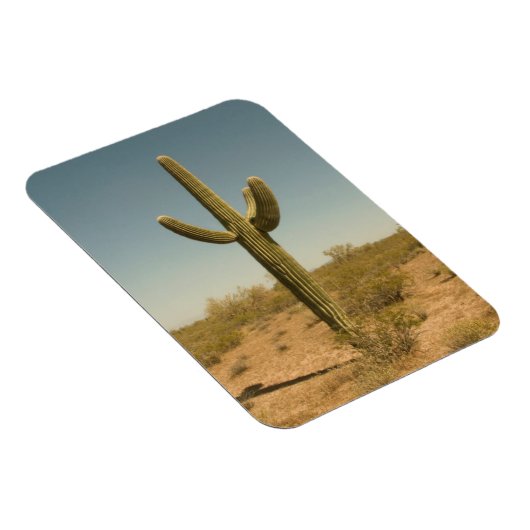 Lone Cactus Magnet (Rechte Seite)