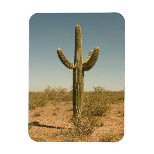 Lone Cactus Magnet (Vertikal)