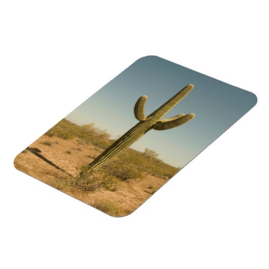 Lone Cactus Magnet (Linke Seite)