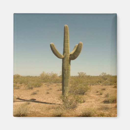 Lone Cactus Magnet (Vorne)