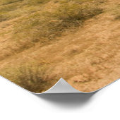 Lone Cactus Poster (Ecke)