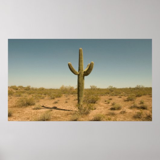 Lone Cactus Poster (Vorne)
